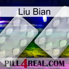 Liu Bian 17